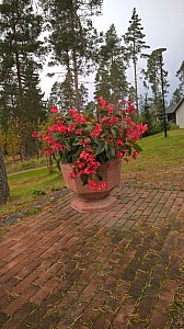 Thumbnail of WP_20151002_12_59_40_Pro.jpg