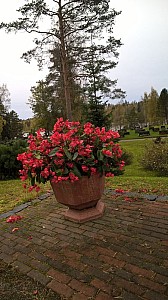 Thumbnail of WP_20151002_12_59_55_Pro.jpg